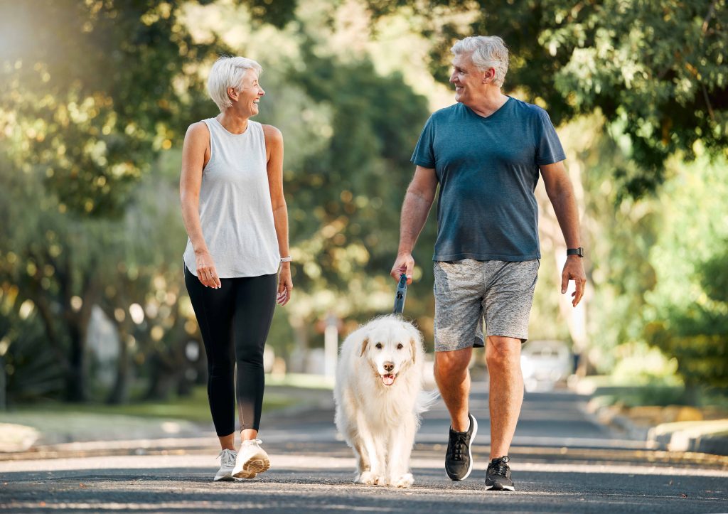Casal de idosos caminhando com cachorro ao ar livre, representando prevenção cardiovascular.